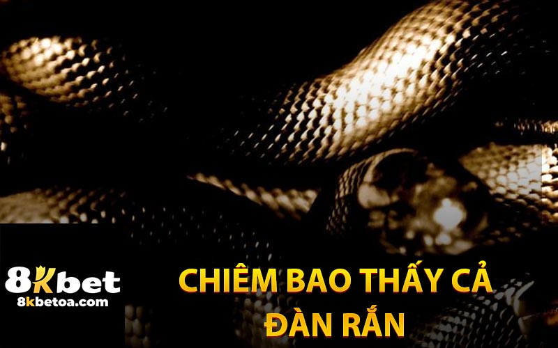 Chiêm Bao Thấy Cả Đàn Rắn Đông Đúc