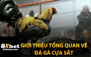 Giới Thiệu Tổng Quan Về Đá Gà Cựa Sắt