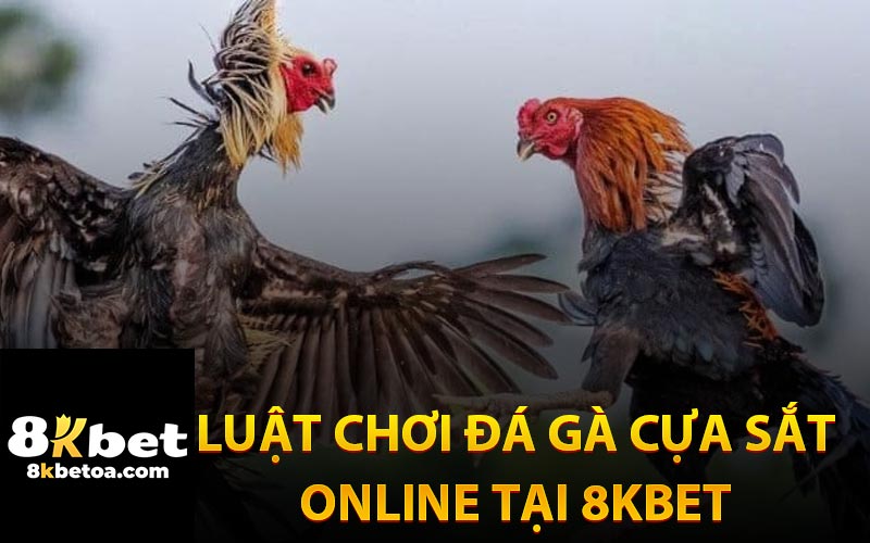 Luật Chơi Đá Gà Cựa Sắt Online Tại Nhà Cái 8KBet