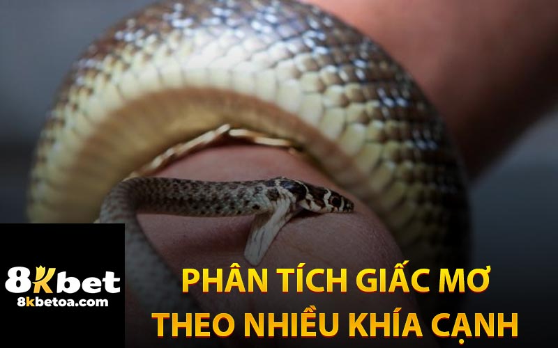 Phân Tích Giấc Mơ Theo Nhiều Khía Cạnh