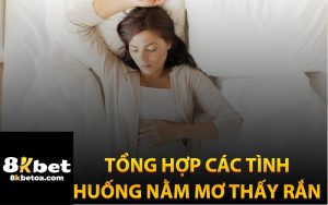 Tổng Hợp Các Tình Huống Nằm Mơ Thấy Rắn